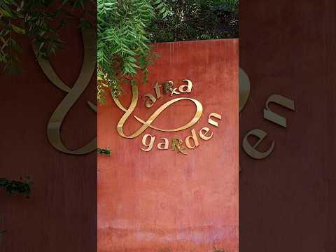 Exploring Yatra Garden: Kanha Shanti Vanam's Hidden Gem | Viral Shorts #meditationmusic