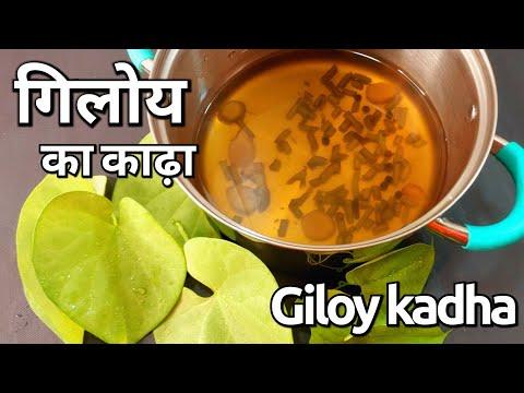 Giloy ka kadha | गिलोय काढ़ा कैसे बनाएं | Master herb | Immunity Booster Drink | गिलोय के फायदे