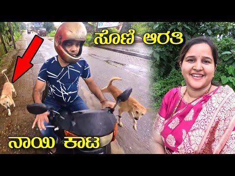 ಥೂ! ಈ ನಾಯಿಗಳ ಕಾಟ ಅಷ್ಟಿಷ್ಟಲ್ಲಾ | ಹಾಲಾಡಿಯಲ್ಲಿ ವರ್ಷದ ಸೊಣಿ ಆರತಿ | Kannada Vlogs | Mr and Mrs Kamath