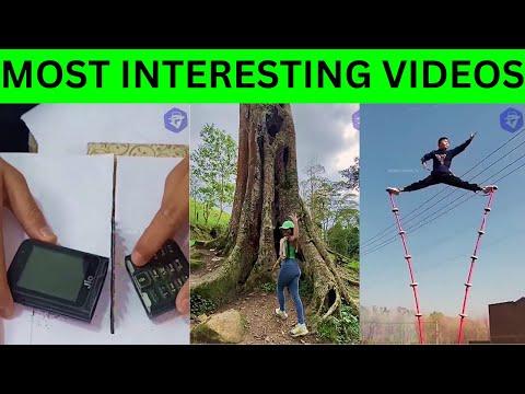 Most Interesting Videos - Fact Express