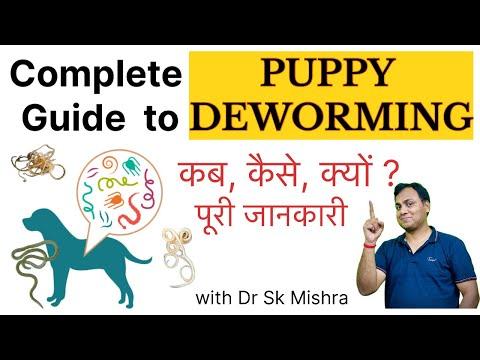 Puppy Deworming Schedule: Complete Guide with Dr Sk Mishra