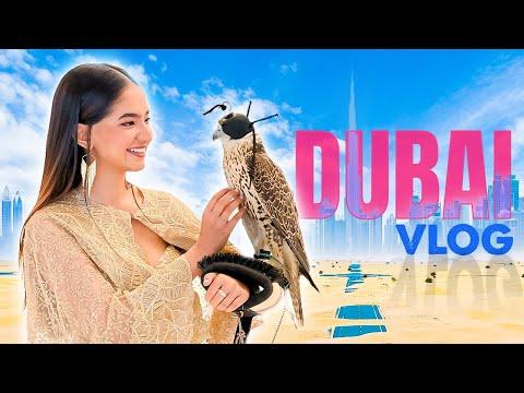 Dubai Vlog: My Performance at the UN Event | @AnushkaSen04