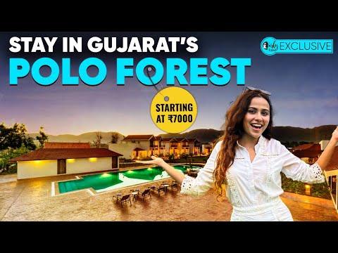 Relaxing Stay In Gujarat’s Polo Forest Starting At ₹7000 | Curly Tales Exclusive