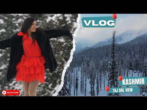 3 Lakh Ka Shawl😮 | Kashmir Vlog | Taj Dal View, Srinagar Experience | Srish Shukla