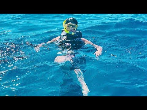 Day In My Life- Snorkelling in Hawaii 🌊🤿 | Dolphins Playing🐬 | ASMR