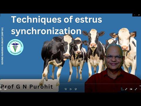 "Estrus Synchronization in Domestic Animals: Techniques and Benefits | GNP Sir"