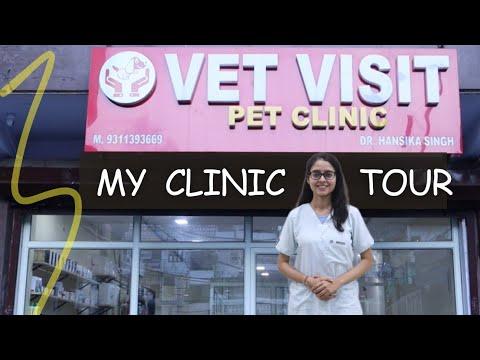 My Clinic Tour - Vet Visit Pet Clinic | Vet Visit