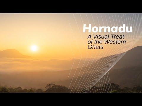 Discovering the Beauty of the Western Ghats from Hornadu