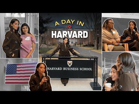 24 hours in Harvard!