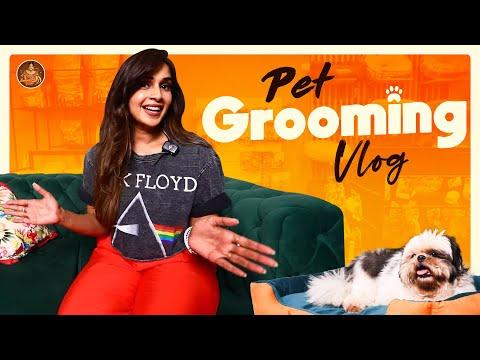 Pet Grooming Vlog 🐶🐶| Pet 101 Alwarpet | Dog Grooming | Samyuktha Shan