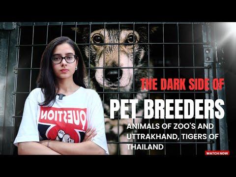 Dark side of Pet Breeders in India | Our Contribution in Animal Cruelty | Vet Visit