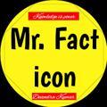 Mr Fact Icon