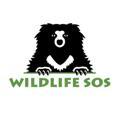 Wildlife SOS