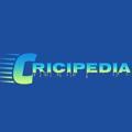 Cricket's Wikipedia ✨
