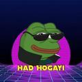 HAD HOGYI