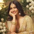 Nabha Natesh