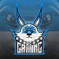 A_S Gaming